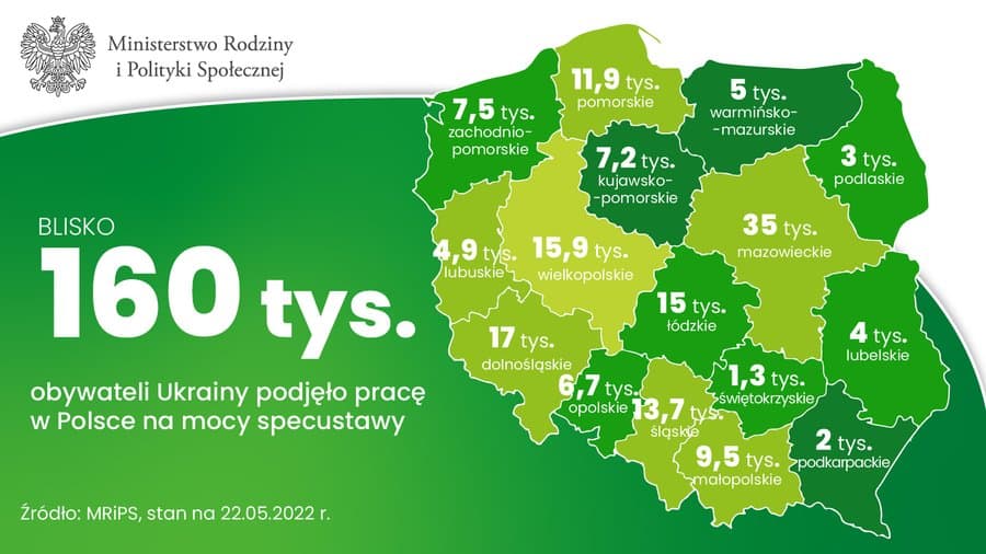 Ukraińcy Badanie rynku