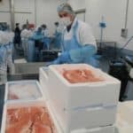 fish market (1)