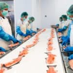 fish market (2)